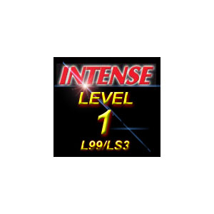 INTENSE Camaro Level 1 Performance Package